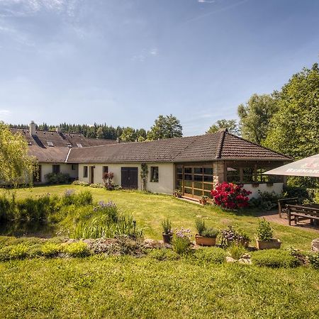Penzion U Dracice Hotel Nova Bystrice Luaran gambar