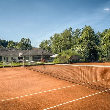 Penzion U Dracice Hotel Nova Bystrice Luaran gambar