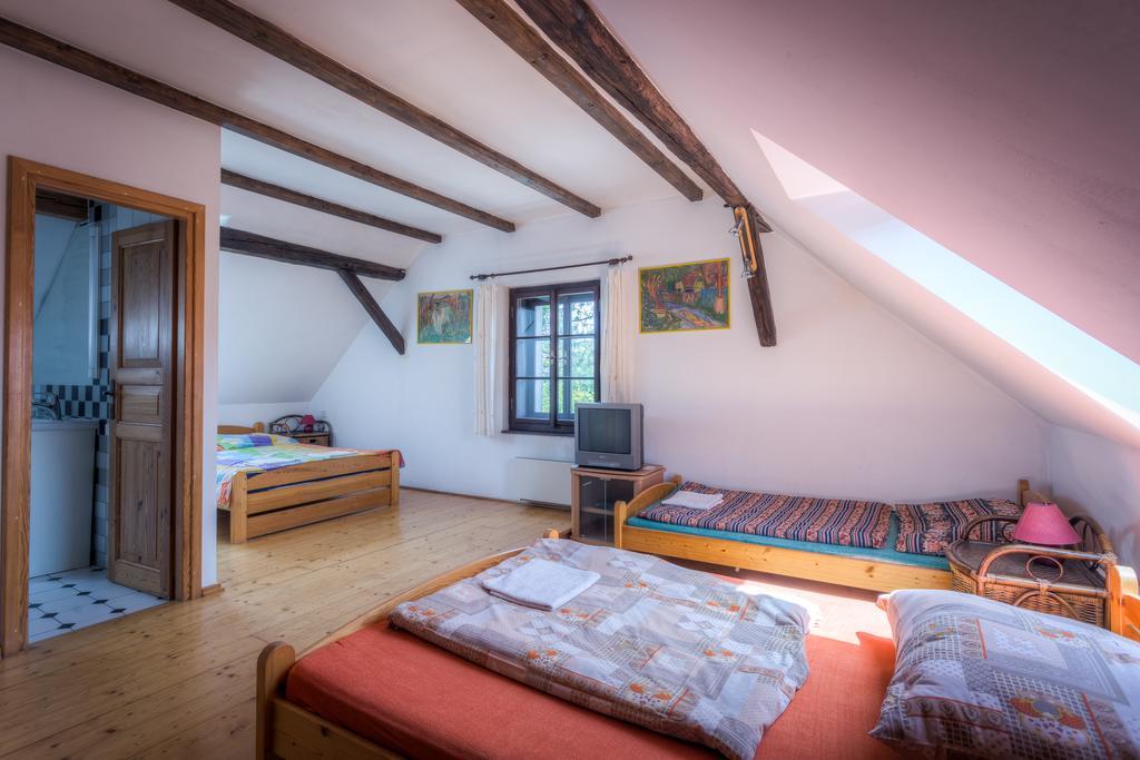 Penzion U Dracice Hotel Nova Bystrice Luaran gambar